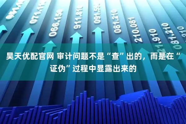 昊天优配官网 审计问题不是“查”出的，而是在“证伪”过程中显露出来的