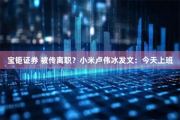 宝钜证券 被传离职？小米卢伟冰发文：今天上班