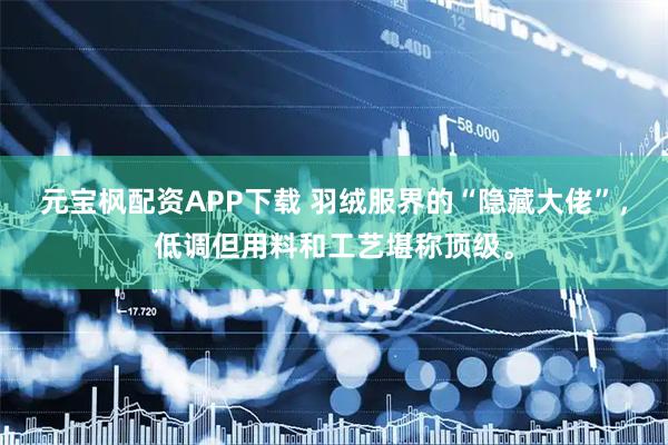 元宝枫配资APP下载 羽绒服界的“隐藏大佬”，低调但用料和工艺堪称顶级。
