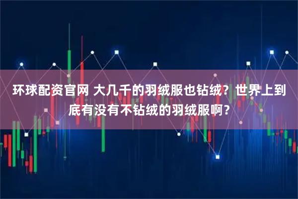 环球配资官网 大几千的羽绒服也钻绒？世界上到底有没有不钻绒的羽绒服啊？