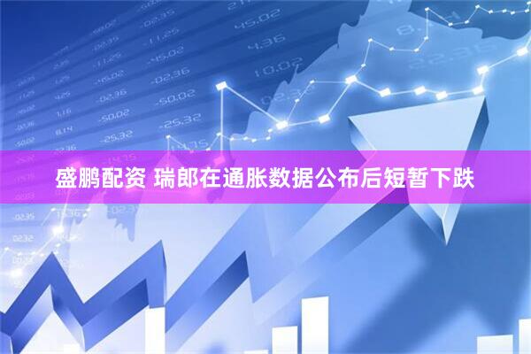 盛鹏配资 瑞郎在通胀数据公布后短暂下跌