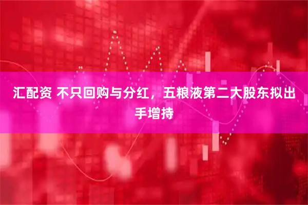 汇配资 不只回购与分红，五粮液第二大股东拟出手增持